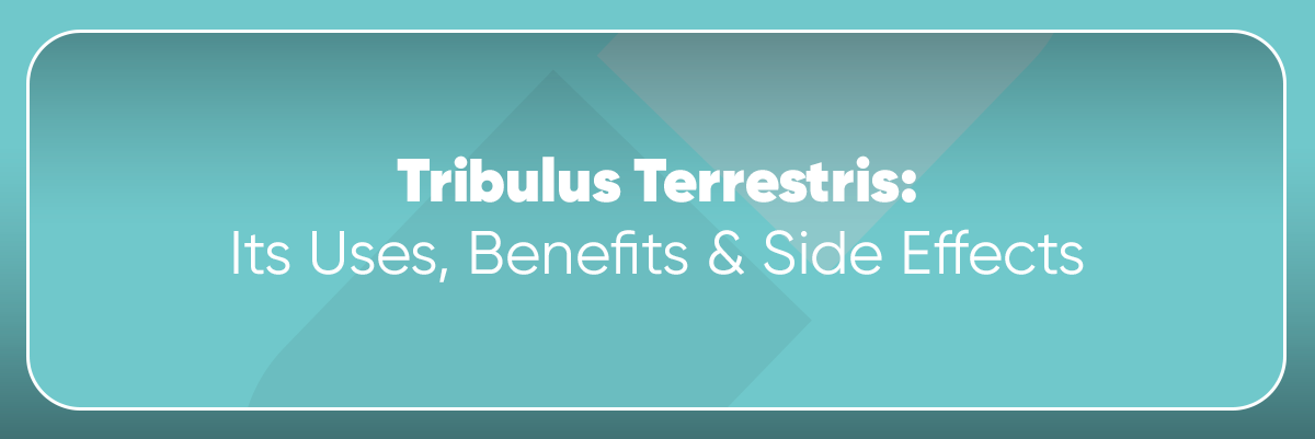Tribulus Terrestris: Its Uses, Benefits & Side Effects